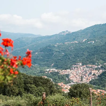 Quattroemme Soc Agricola *