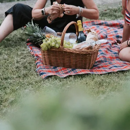 Lantgård Quattroemme Soc Agricola *