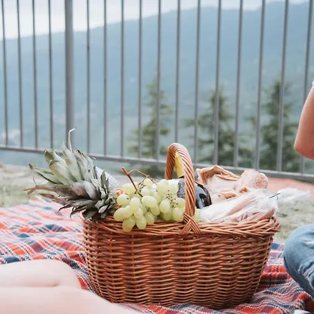 Lantgård Quattroemme Soc Agricola *