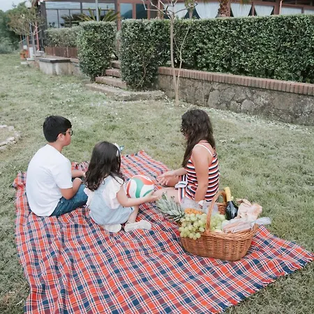 Lantgård Quattroemme Soc Agricola