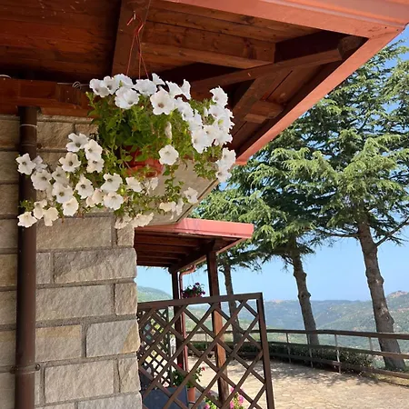 Quattroemme Soc Agricola *